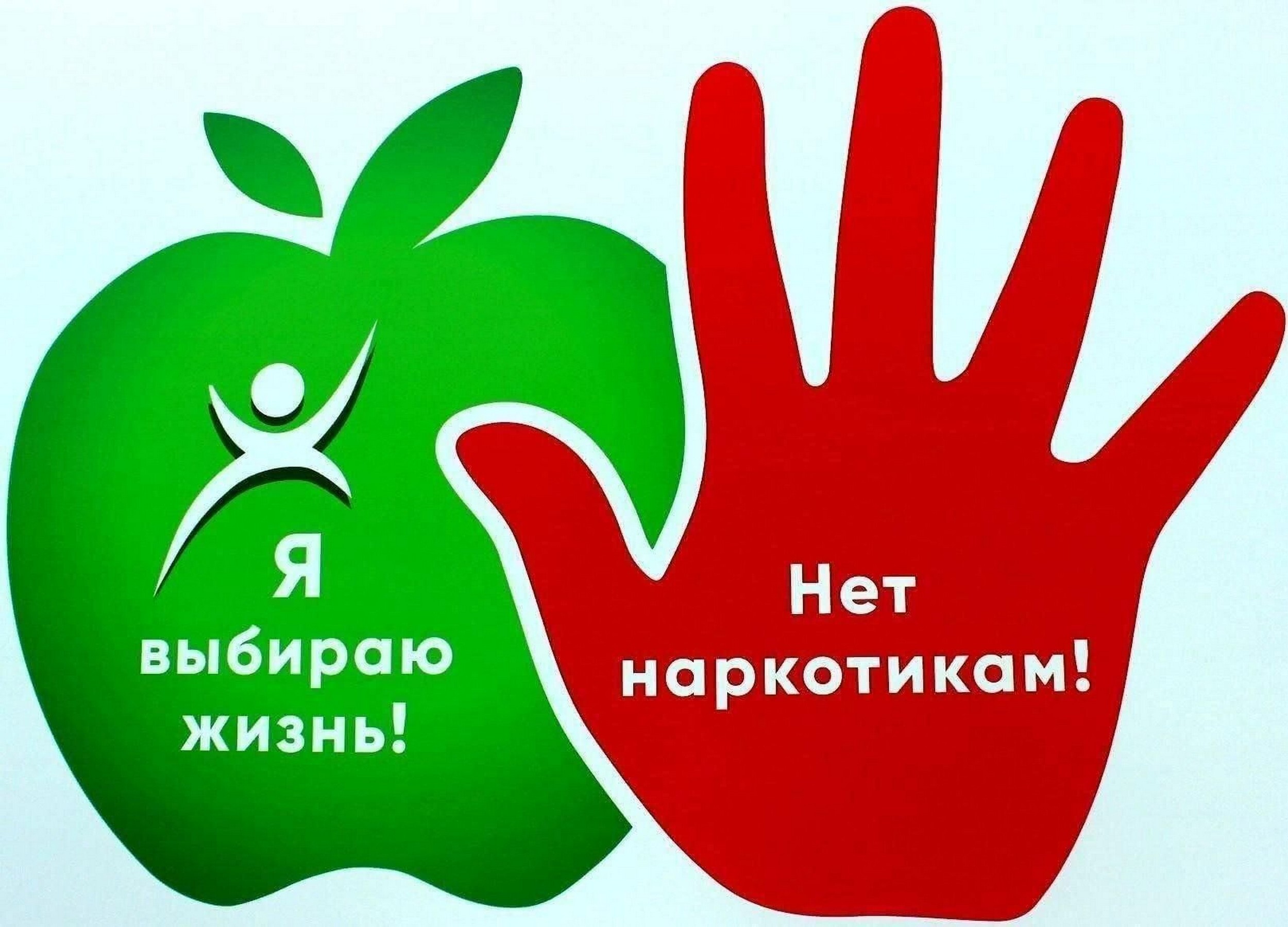 Районная антинаркотическая программа.